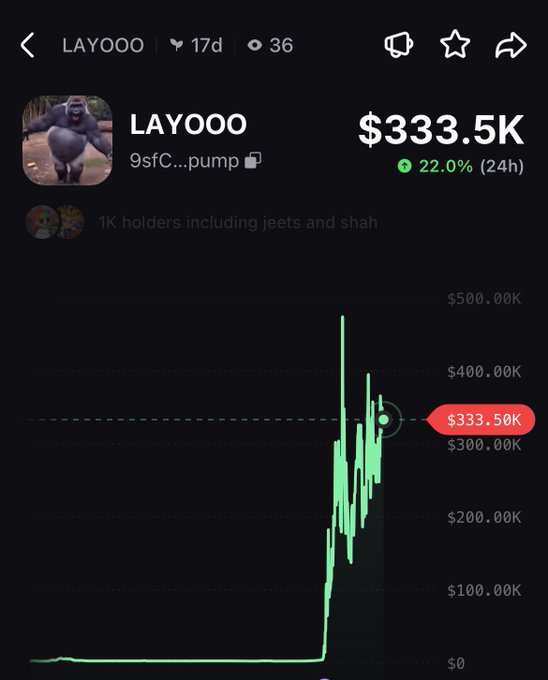 A Pump.fun token page for $LAYOO showing a market cap of $333.5K with a 22% gain in 24 hours, featuring a gorilla mascot and noting "1K holders including jeets and shah." The chart displays a massive pump from near $0 to over $500K before settling, supporting the post's claim that CT (crypto Twitter) is slow to catch on to this trending gorilla-themed token.