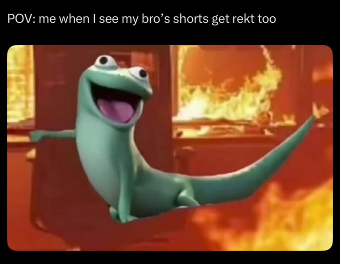 A meme featuring the smiling lizard character from the Tangled Pascal meme with the caption 'POV: me when I see my bro's shorts get rekt too' against a fiery background.
