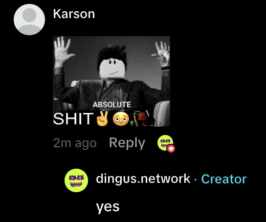A screenshot of a YouTube comment section showing a reply from 'Karson' with a meme image captioned 'ABSOLUTE SHIT' and a creator response from 'dingus.network' saying 'yes'.
