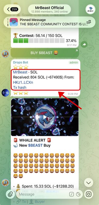 A Telegram screenshot from the "MrBeast Official" group shows the "Drops Bot" reporting a large transaction of 804 $SOL (~$67,490) received from address "HKz1..LCXn" for the $BEAST presale, with a follow-up "WHALE ALERT" post highlighting a new $BEAST buy of 15.33 $SOL (~$1,288.20). The image visually supports the post's claim of a whale purchase tied to MrBeast's $BEAST presale announcement.
