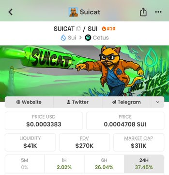 A crypto/token info page for Suicat (SUICAT) on Sui network with price $0.0003383 (0.0004708 SUI), liquidity $41K, FDV $270K, market cap $311K, and 24H change of 37.45%.