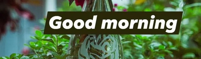 The image features a banner with the words "Good Morning" written above a picture of a bottle filled with flowers. The text "gQuip fam Energy grid optimization is a real use case where compute networks like @quipnetwork could be useful. It involves balancing energy supply, demand, and storage in real time, which is a very complex problem." This image seems to be related to the post about energy grid optimization or distributed computing.