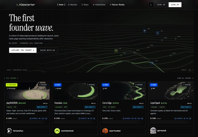 A screenshot of the Vibestarter platform website titled 'The first founder wave,' showing various crypto project raises including 'playMayhem', 'OnetoKen', 'Curve Edge', and 'Loya Spark'.