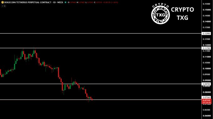 Crypto price chart on TradingView showing the DOGE/TETHER perpetual contract on Binance with a strong downtrend, displaying the CRYPTO TXG logo.