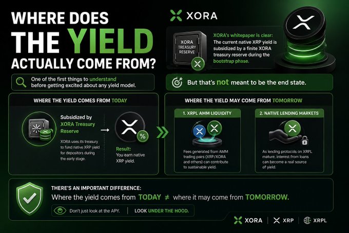 An infographic titled 'WHERE DOES THE YIELD ACTUALLY COME FROM?' for XORA explains that the current native XRP yield is subsidized by a XORA treasury reserve, but future yields may come from XRPL AMM liquidity and native lending markets, with references to XORA, XRP, and XRPL.