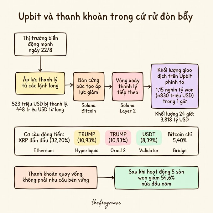 An infographic in Vietnamese titled 'Upbit và thanh khoản trong cơ rủ đơn bẩy' explaining Upbit and leveraged liquidity during August 22 market volatility, showing $523M in liquidations, a buying pressure cascade through Solana/Bitcoin/L2s, $1.15 trillion won trading volume in 1 hour, and currency composition led by XRP (32.20%), TRUMP tokens, and USDT.
