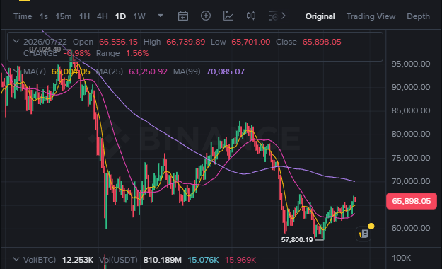 A candlestick chart of Binance BTC/USD on the 1D timeframe shows the price at 65,898.05, testing the 66,556.15 open level with a recent low of 57,800.19, visually capturing the intense price action around the $66,000 zone mentioned in the post.