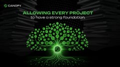 Canopy promotional graphic featuring a green tree illustration with the text 'ALLOWING EVERY PROJECT to have a strong foundation'.
