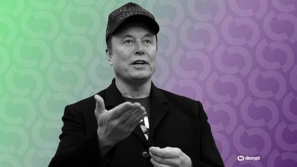 Photo of Elon Musk wearing a 'Make America Great Again' hat and dark jacket, gesturing with his hand, set against a green and purple gradient background with the decrypt logo visible.