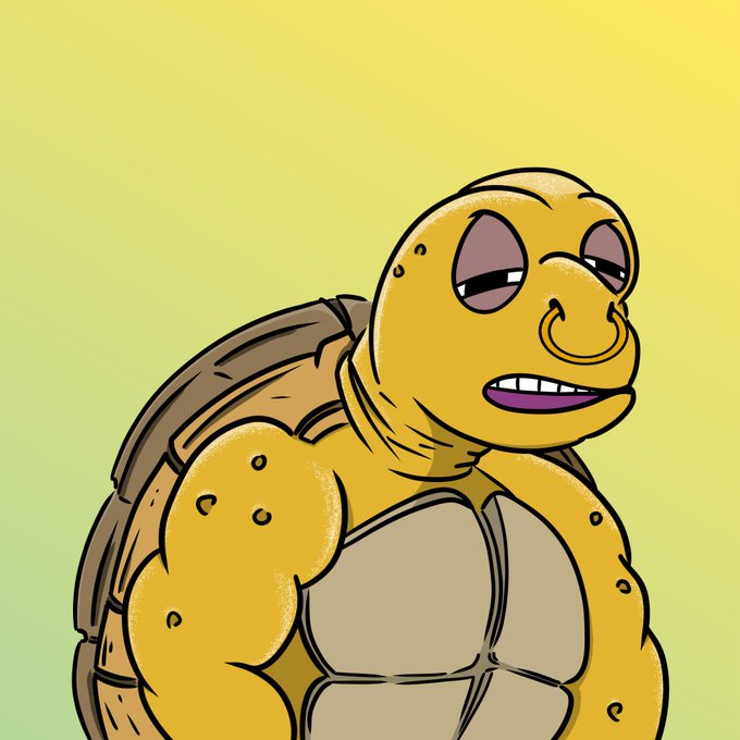 A cartoon illustration of a muscular, anthropomorphic turtle with a confident smirk, depicted with a buff human-like body and a green shell against a yellow background.