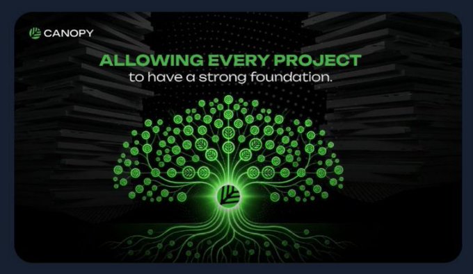 A Canopy promotional graphic featuring a glowing green tree made of circuit patterns with the tagline 'ALLOWING EVERY PROJECT to have a strong foundation.'