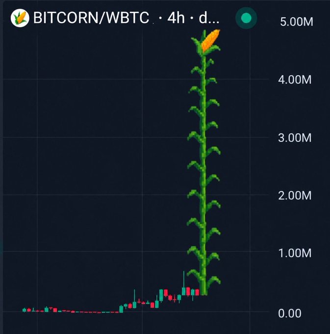 A cryptocurrency price chart titled 'BITCORN/WBTC' (4h) shows a candlestick pattern that has been creatively edited to look like a tall green corn stalk with an ear of corn at the top, reaching toward the 5.00M price level.