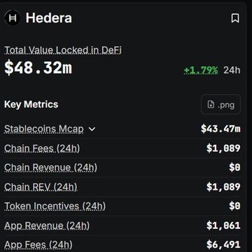 The image displays a report that shows financial information about a company called "Hedera". The report states that the company has generated $0 in revenue over the past 24 hours, but their valuation at present is only $4,000,000,000 or $4,941.99 million. This indicates that there could be an issue with accounting practices, as the amount of money listed on the website does not match what is currently shown for this particular company's financial data.