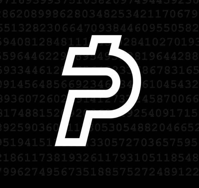 A white PayPal 'P' logo displayed on a black background with faint grey digital number patterns.