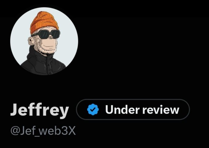 A Twitter profile screenshot shows a user named "Jeffrey" (@Jef_web3X) with a Pepe avatar wearing sunglasses and an orange beanie, marked with a blue "Under review" verification badge.