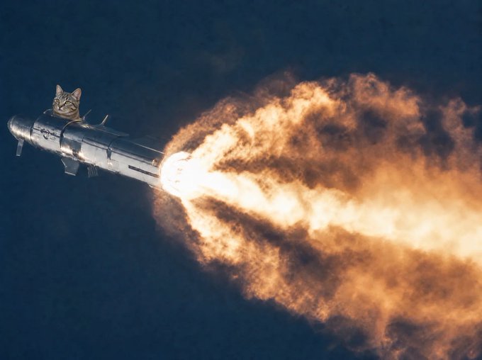 A tabby cat rides a rocket soaring upward while a massive flame propels it skyward. The image humorously captures the post's question "Who gets the last laugh this cycle?" by suggesting those who stay strapped in for the explosive upward ride—rather than getting burned—will emerge victorious.