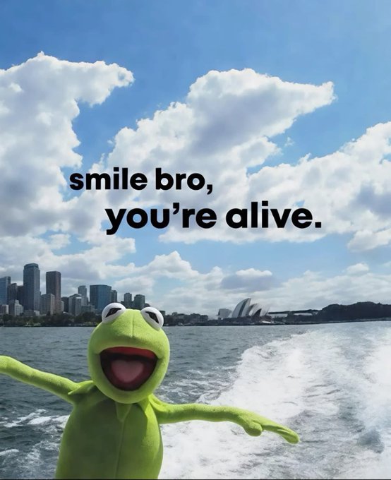 A Kermit the Frog meme with the text 'smile bro, you're alive.' set against a scenic background of a city harbor and cloudy sky.