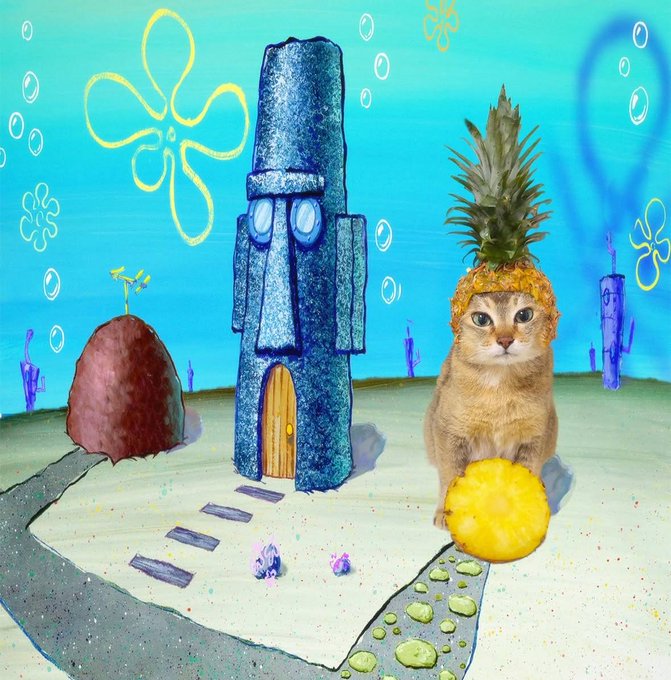A digitally illustrated scene set in a cartoonish Bikini Bottom from SpongeBob SquarePants features an orange tabby kitten wearing a pineapple hat—referencing SpongeBob's iconic house—sitting next to a yellow ball on a yellow sponge-textured surface. The background includes Squidward's Easter Island head-shaped house and Sandy Treedome, along with painted bubble and flower motifs characteristic of the show's underwater setting.