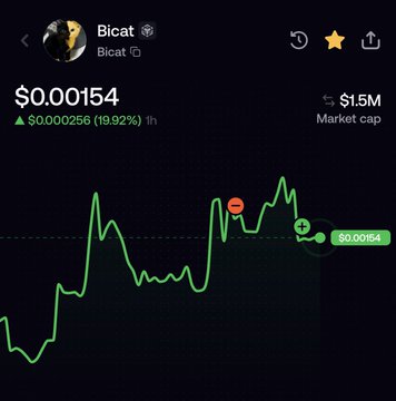 This screenshot shows the cryptocurrency $BICAT trading at $0.00154 with a market cap of $1.5M, reflecting the user's confusion about their supposed profit turning into a loss.
