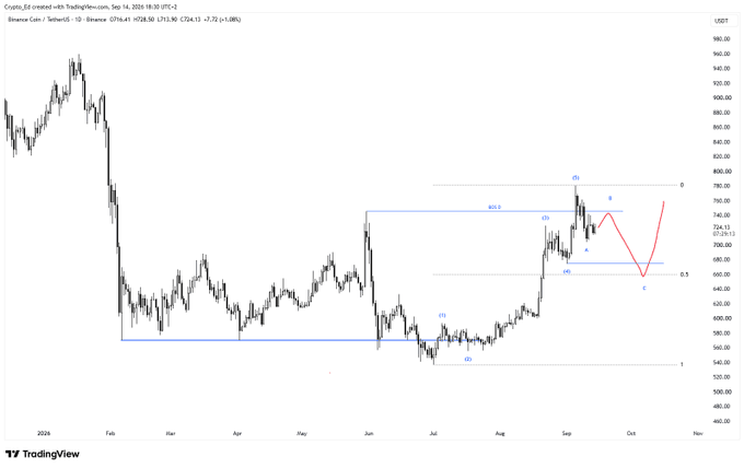 A TradingView chart of Binance BTC/USDT displays an Elliott Wave analysis with markings labeled (1), (2), (3), (4), (5), A, B, C, and Fibonacci levels at 724.13.