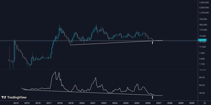 The image shows a TradingView chart of $LTC (Litecoin) on a logarithmic scale spanning from 2014 to 2030, with the price testing a rising multi-year trendline support near the 25,000 satoshi level (~$64.69), accompanied by an RSI indicator below that has also broken to new lows along its own descending support—directly illustrating the "multi-year support confluence" and "RSI printing new lows" mentioned in the post, suggesting a notable bearish technical setup despite the tongue-in-cheek "probably nothing" disclaimer.