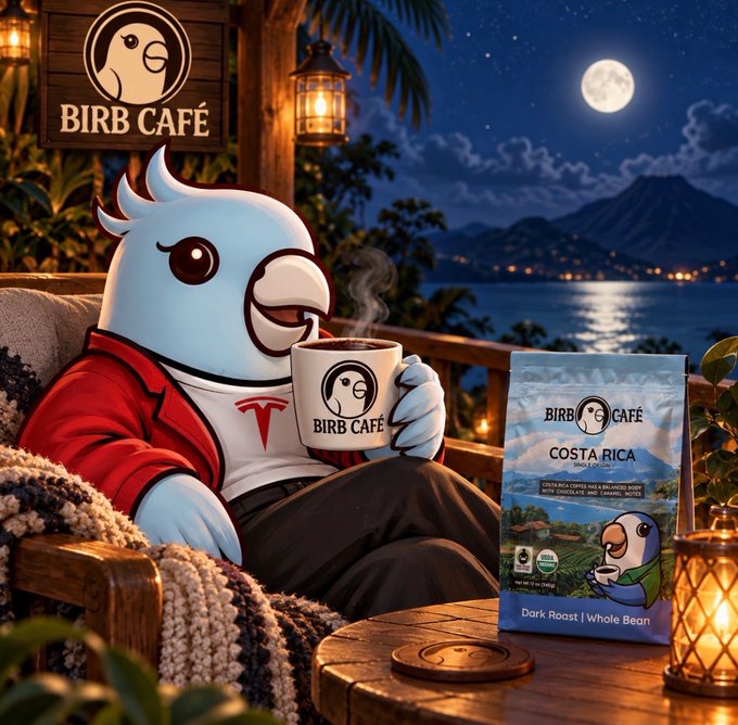 A cartoon blue bird character wearing a red Tesla jacket sips coffee at 'BIRB CAFÉ' on a tropical balcony at night, with a bag of 'Costa Rica Dark Roast' coffee beside it.