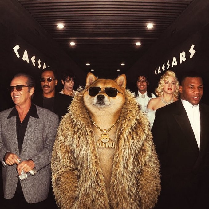 An edited image showing a Shiba Inu dog wearing sunglasses and a fur coat with a gold 'ALLINU' chain, standing among celebrities in front of a 'CAESARS' sign.