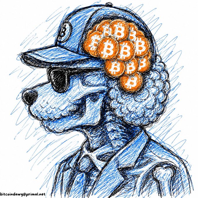 A hand-drawn sketch of a blue dog wearing sunglasses, a cap with a Bitcoin logo, and a curly wig made of Bitcoin coins, signed 'bitcoindawgs@primal.net'.