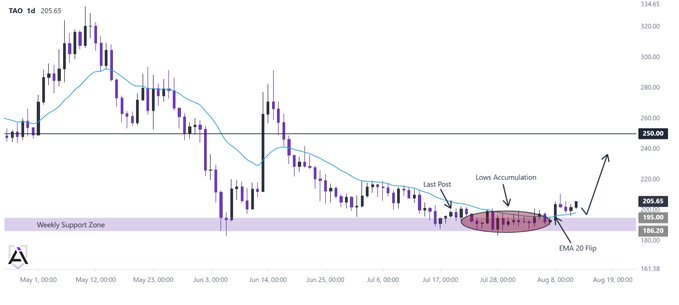 A daily candlestick chart of $TAO (currently at 205.65) showing a Weekly Support Zone between $186.20–$195 highlighted in purple, with annotations marking "Last Post," "Lows Accumulation," and an "EMA 20 Flip" pointing to recent bullish momentum after months of basing.