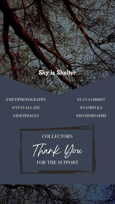 A graphic with bare tree branches and a starry sky features the text 'Sky is Shelter' and credits collectors including @METIPHOTOGRAPHY, @NTAVALLAEE, @JOEZIMAGES, @LAYAI388897, @SASHELKA, and @HANIEHDABIRI, concluding with 'Thank You for the support'.