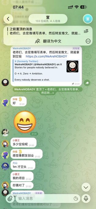 A Telegram chat screenshot showing a group with 133 members (4 online) discussing a pinned message about visiting x.com/WeAreNOBADY to write a form and share a tweet, with users reacting to the instructions in Chinese.