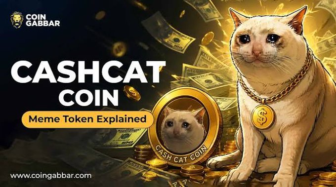A promotional banner for 'CASHCAT COIN' featuring a white cat wearing a gold chain with a dollar sign pendant, a gold coin, and the text 'Meme Token Explained' from Coin Gabbar.