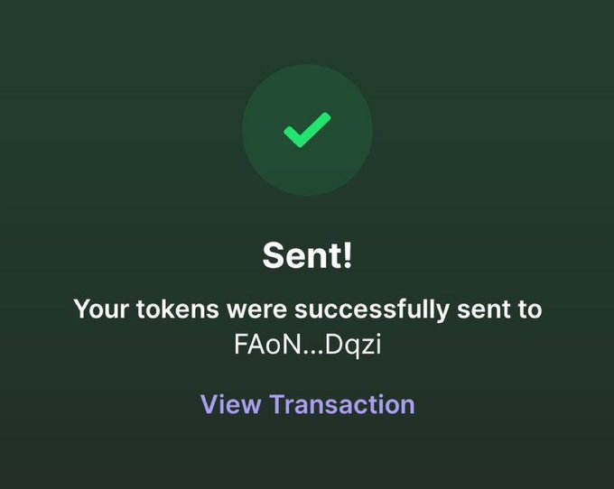 A green confirmation screen showing a successful crypto transaction with the message 'Sent! Your tokens were successfully sent to FAoN...Dqzi' along with a 'View Transaction' link.