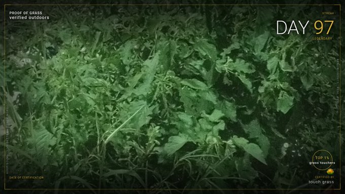 The image shows a close-up of green grass and foliage tinted in green, framed as a "proof of grass" verification badge with text reading "PROOF OF GRASS verified outdoors," "DAY 97," "STREAK LEGENDARY," and "TOP 1% grass touchers CERTIFIED BY touch grass." This visual ties directly to the post celebrating a 97-day streak, depicting the literal "grass" being touched and verified as part of the ongoing certification milestone.