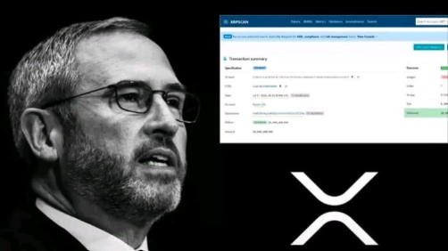 A nearly identical image to the previous one showing the bearded man with glasses and an XRPscan transaction summary page, accompanied by the XRP logo.