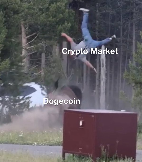 A meme showing a person falling in mid-air above a metal box, labeled 'Crypto Market' for the falling person and 'Dogecoin' for the box, set in a wooded outdoor area.