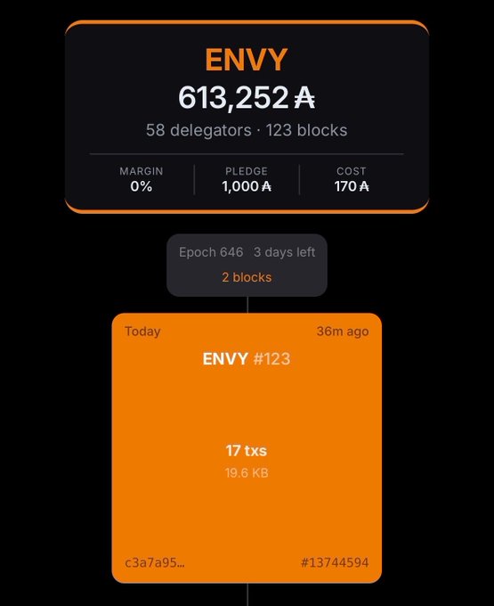 A mobile app screen showing a crypto/staking dashboard for 'ENVY' with 613,252 A tokens, 58 delegators, 123 blocks, showing Epoch 646 details.
