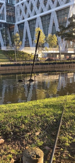 A fishing rod set up on a grassy bank beside a river, with a modern building featuring geometric white lattice architecture in the background.