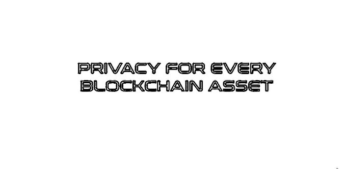 Text reading 'PRIVACY FOR EVERY BLOCKCHAIN ASSET' displayed in a stylized, outlined font on a white background.