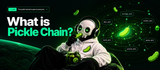 A promotional graphic asking 'What is Pickle Chain?' featuring a masked character holding a jar of pickles, with related files like bridge.pkl, dex.pkl, and stake.pkl displayed around a galaxy background.