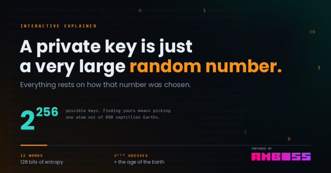 This image is a graphic from an interactive explainer on entropy and private key security, featuring the headline "A private key is just a very large random number," highlighting 2^256 possible keys and noting that a 12-word seed phrase provides 128 bits of entropy. It relates to the accompanying post by visually introducing Amoss's educational site that helps users understand fundamental concepts like multi-sig security and dice roll entropy through quizzes.