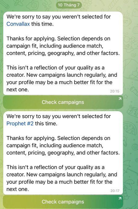 Two WhatsApp messages on a green background notifying the user they weren't selected for 'Convallax' and 'Prophet #2' campaigns, with 'Check campaigns' buttons.
