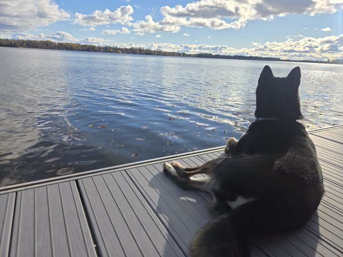 A black dog sits on a wooden dock looking out over a calm lake under a partly cloudy sky.