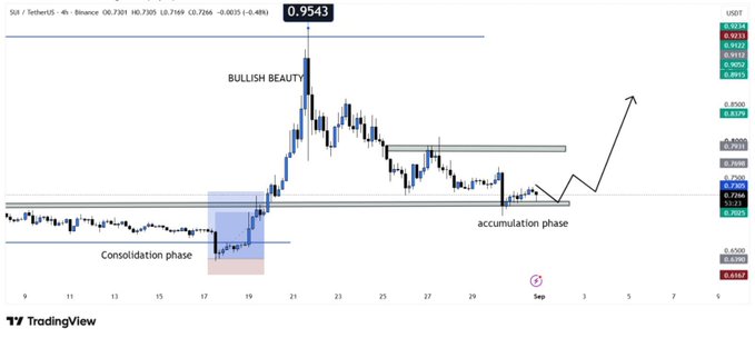 A TradingView chart of SIL/USDT showing 'BULLISH BEAUTY' with annotations marking a 'Consolidation phase' and 'accumulation phase' around price level 0.9543.