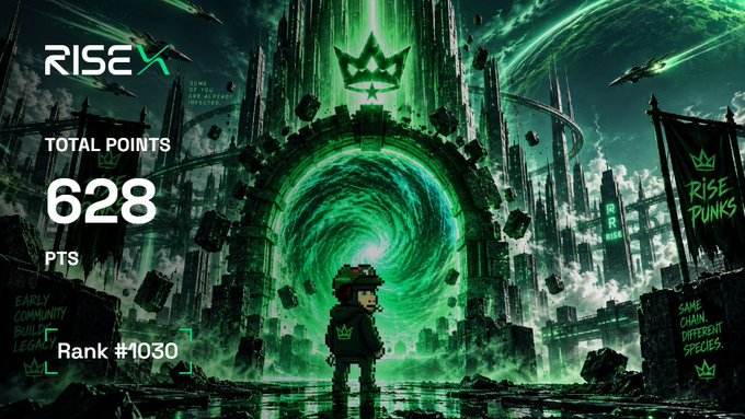 A neon green and black digital artwork for 'RISE' displaying a character standing before a glowing portal, with 'TOTAL POINTS 628 PTS' and 'Rank #1030' shown on the left.