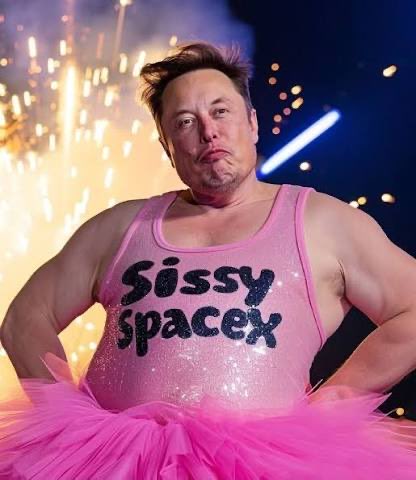 An edited image depicts Elon Musk wearing a sparkly pink tank top reading "Sissy SpaceX" with a matching tutu, set against a background of fireworks.