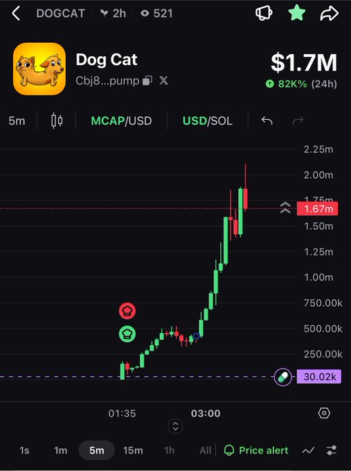 A cryptocurrency trading chart for 'Dog Cat' (DOGCAT) showing a market cap of $1.7M and an 82% 24-hour gain, with the price action displayed in green and red candles.