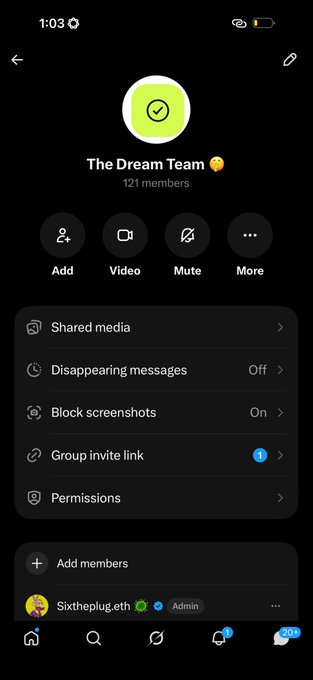 A screenshot of a group chat titled "The Dream Team" with 121 members, showing options for Add, Video, Mute, and settings like Shared media, Disappearing messages, and Permissions.