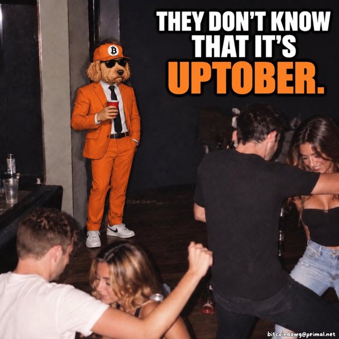 A meme featuring a dog in an orange suit with sunglasses watching people dance, with text reading 'THEY DON'T KNOW THAT IT'S UPTOBER' and a watermark for bitcoin.dawg@primal.net.