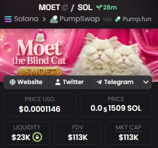 A screenshot of the MOET (Moet the Blind Cat) token page showing a price of $0.0001146 USD, $MOET/SOL pair on Solana via PumpSwap, with $23K liquidity and $113K market cap.